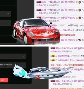 海鸽晚上见主播照片