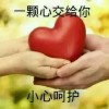 山河有幸埋战骨$