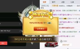 海鸽晚上见主播照片