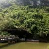 沁馨j海报