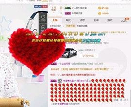 一只雁~主播照片