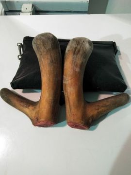 钓便江湖主播照片