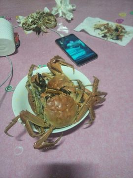 回忆的夜色主播照片