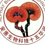 天涯vs凝望海报