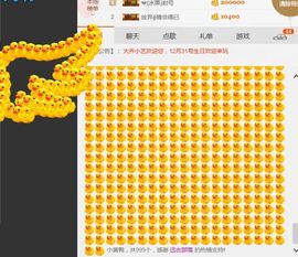小艺停播主播照片