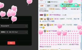 海鸽晚上见主播照片