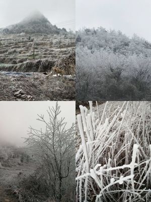 小梦梦19131的主播照片