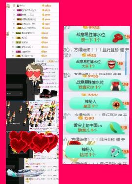 海鸽晚上见主播照片
