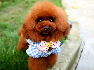 微信_9430887的主播照片