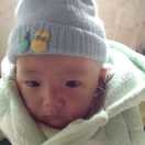 penglip6
