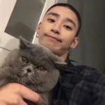 皮皮怪i