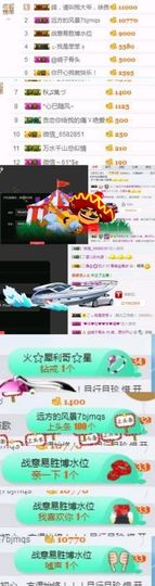 海鸽晚上见主播照片