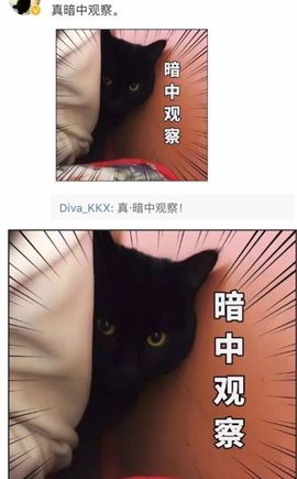 梦婷哟ぃ主播照片