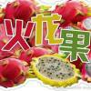 爱情火龙果*