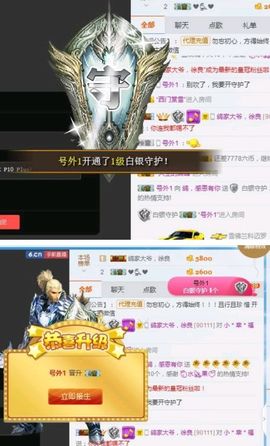 海鸽晚上见主播照片