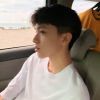 z.p.ft海报
