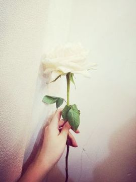 ❁小丸子主播照片