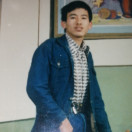 沙枣树yf