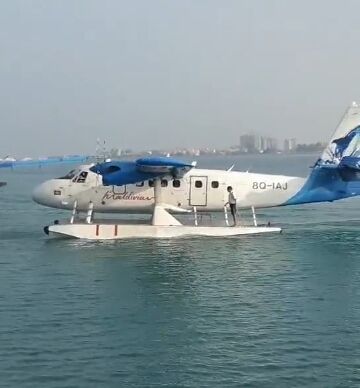 伶伶🍭棋艺🍭心声的主播照片