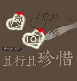 菲儿💅主播照片