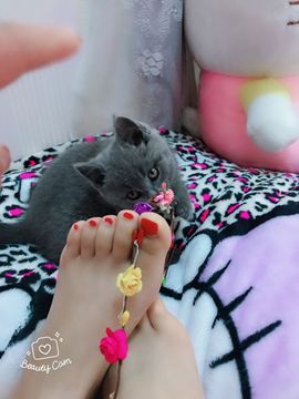初恋儿呀主播照片