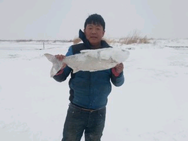 大龙368569主播照片