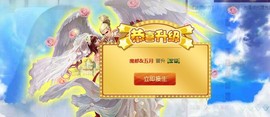 九小九，主播照片