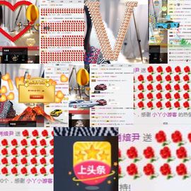 肖大大新号20323主播照片