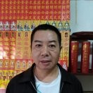 常青树35g