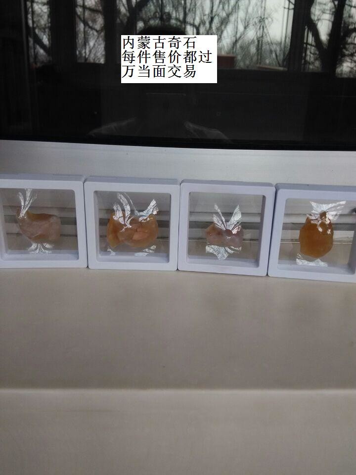 我相册里有石头的主播照片