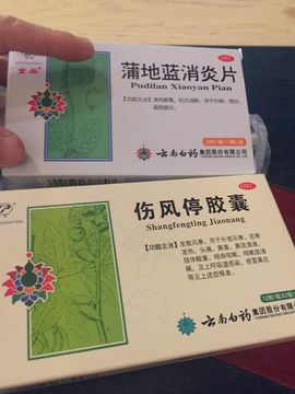 狐狸讨米去了主播照片