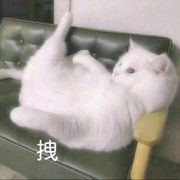 哦这样啊4