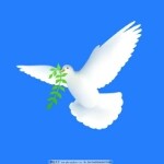 昵称违规，请重新修改