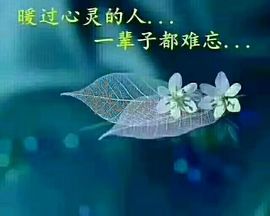 🦋☔主播照片