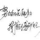 心软是病＝情深至命的头像