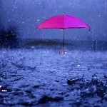 ♥相思的雨♥