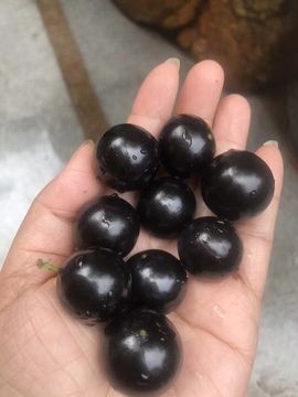 淡看浮华彩云烟主播照片