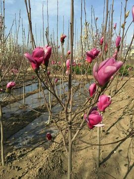 ✨媳婦⭐求🌙帶走✨主播照片
