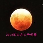 此栏省略主播照片