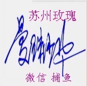 此栏省略主播照片
