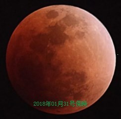 此栏省略主播照片