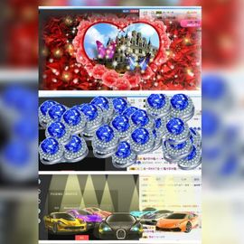 海鸽中午12点半播主播照片