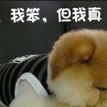 猪撞房顶上海报