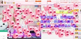 菲菲又停播了主播照片