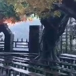 红河经典