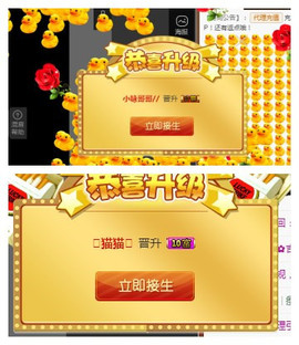 琴妹妹—-暂别主播照片