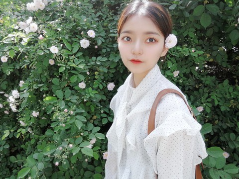 风萧儿海报