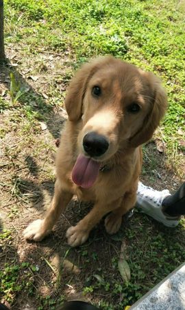 🌸无🌸主播照片