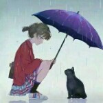 芳心。。