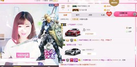 一只雁~主播照片